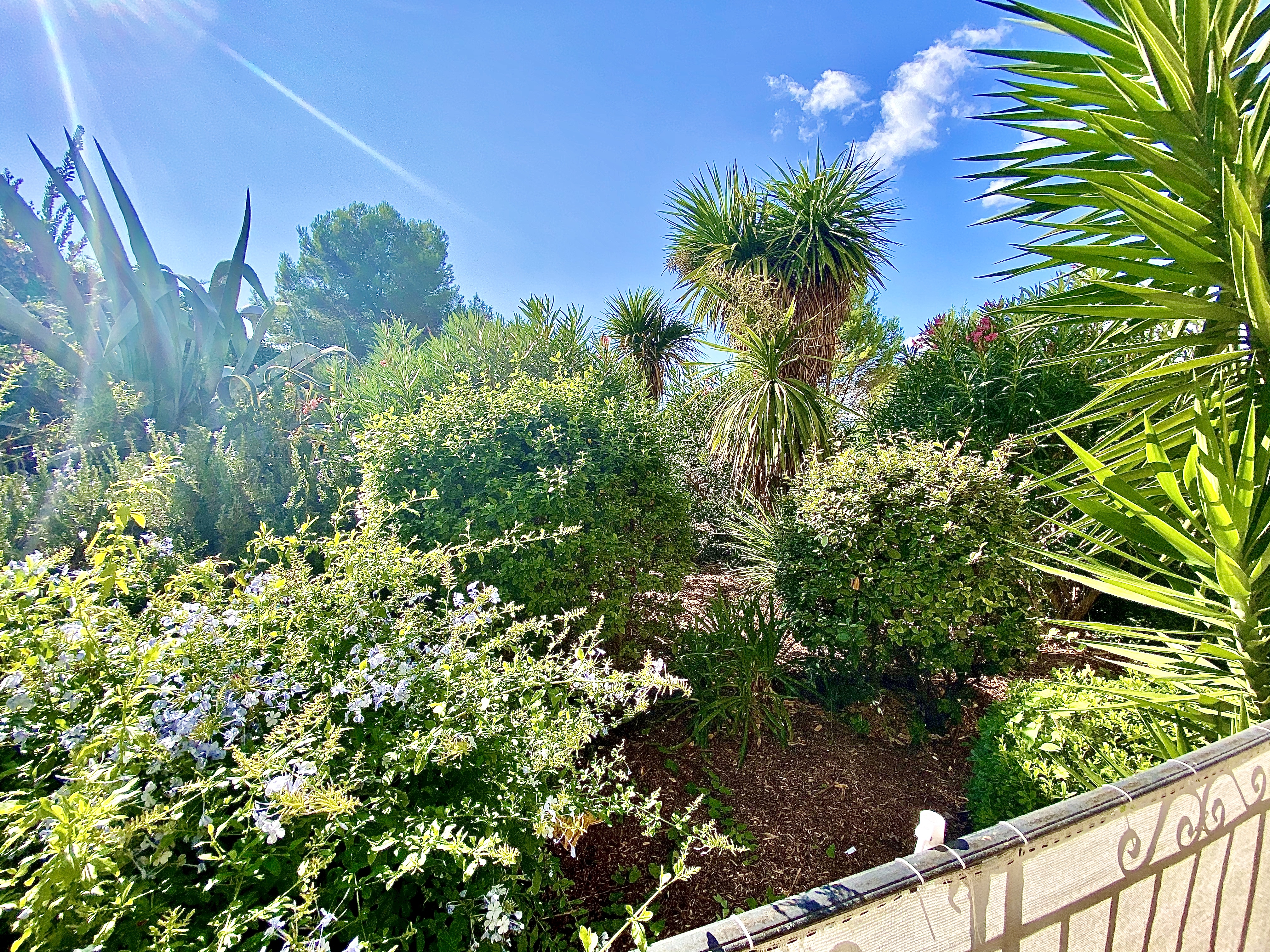 Le Jardin Du Chanvre La Roquette Sur Siagne